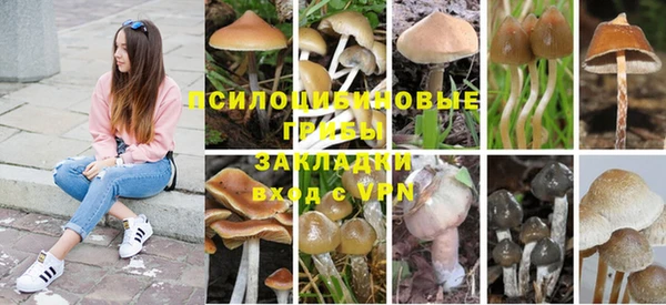 скорость Балахна