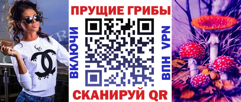 цены наркотик  Кизляр  Псилоцибиновые грибы мицелий 